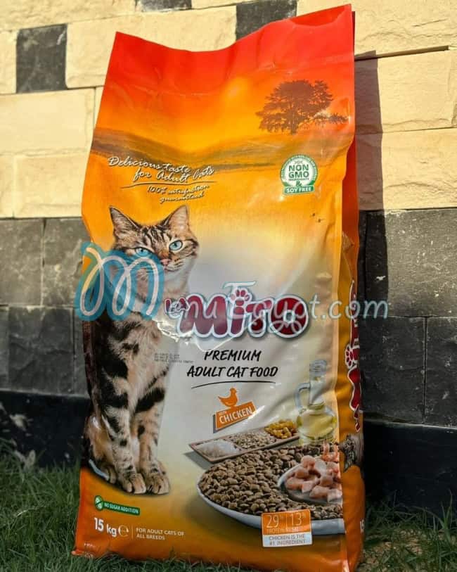 سوبر بيتس مصر