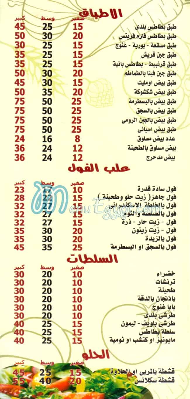 طلعت مصر الخط الساخن