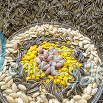 Tasaly Al Obour delivery