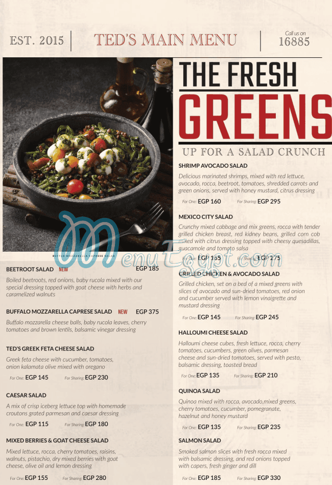 منيو تيدز ايجيبت مصر