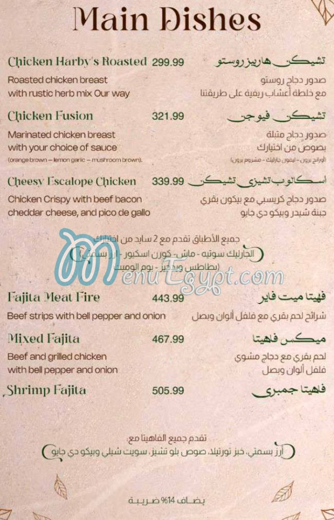 ذا شاين مصر