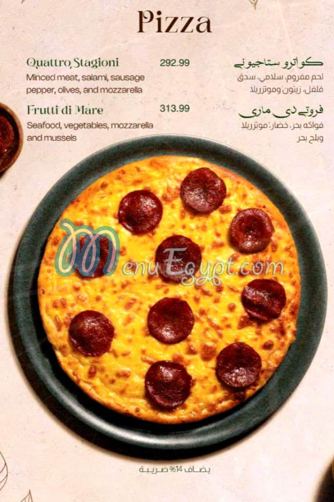 أسعار ذا شاين مصر