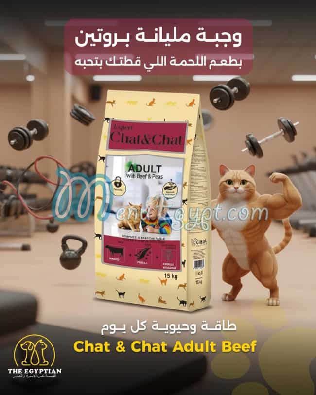 ذا ايجيبشن مصر منيو بالعربى