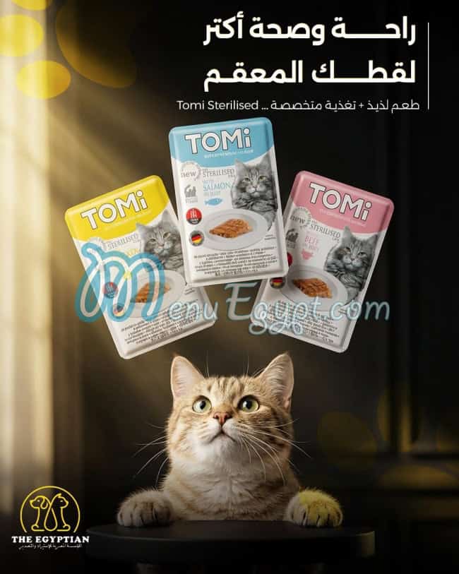 ذا ايجيبشن مصر الخط الساخن