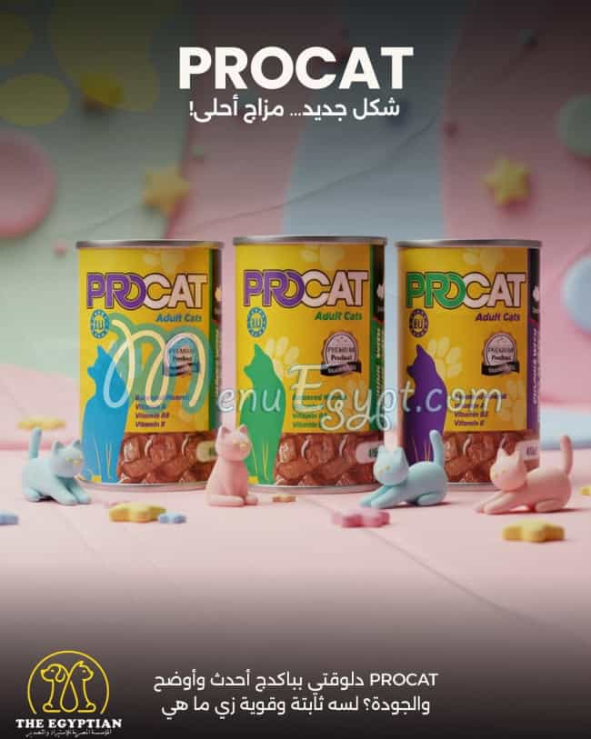 رقم ذا ايجيبشن مصر