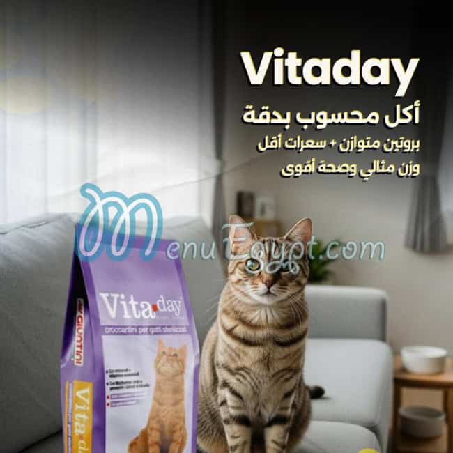 ذا ايجيبشن مصر