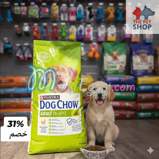 ذا بيت شوب مصر