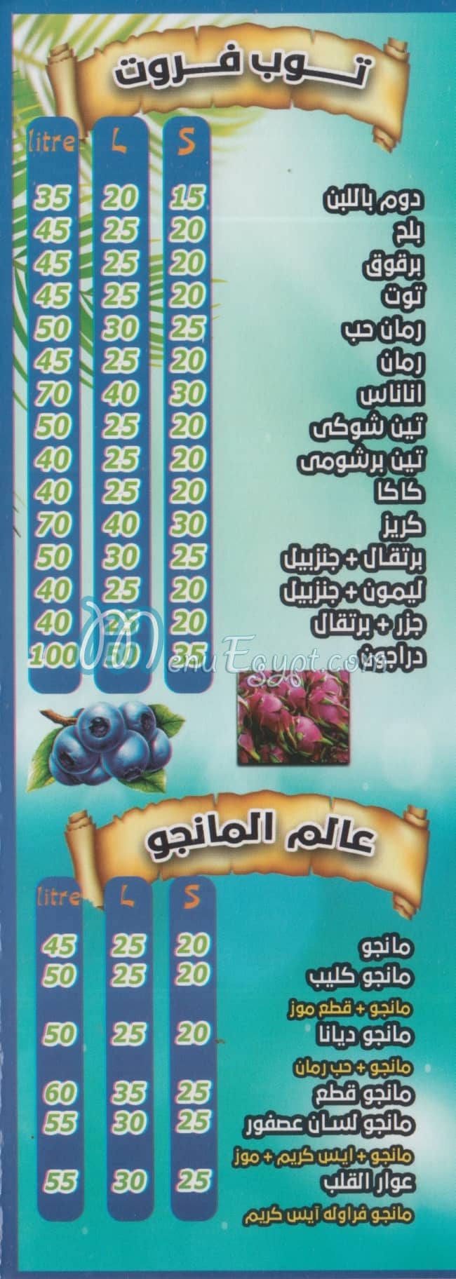 Top Fruit egypt