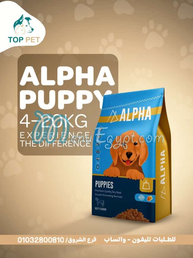 منيو توب بيت مصر