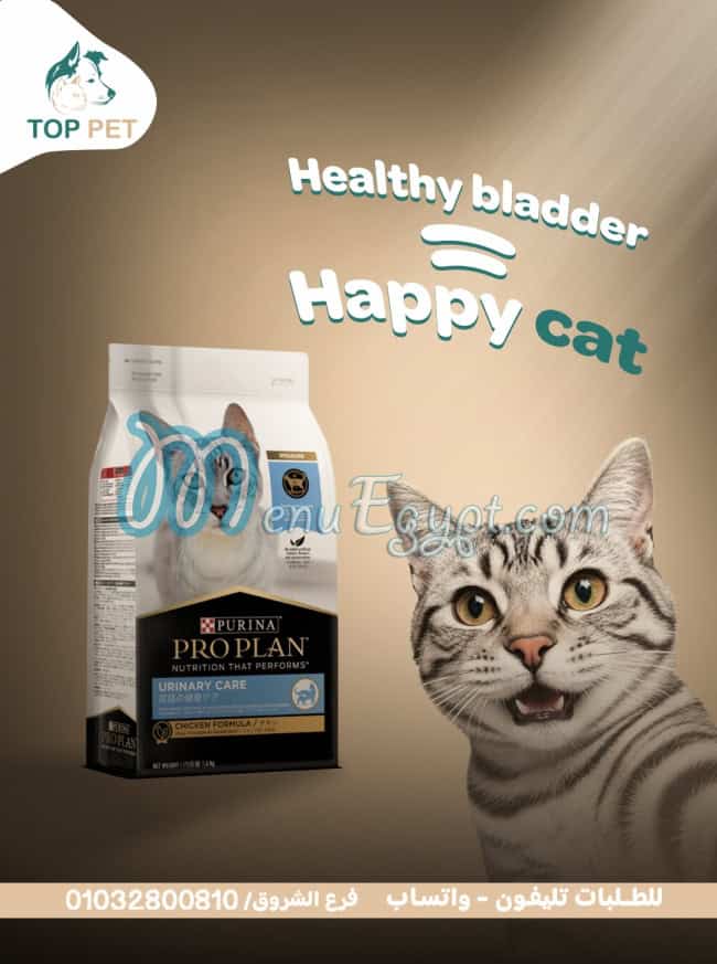 توب بيت مصر الخط الساخن