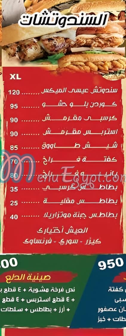 طيور عيسى مصر الخط الساخن