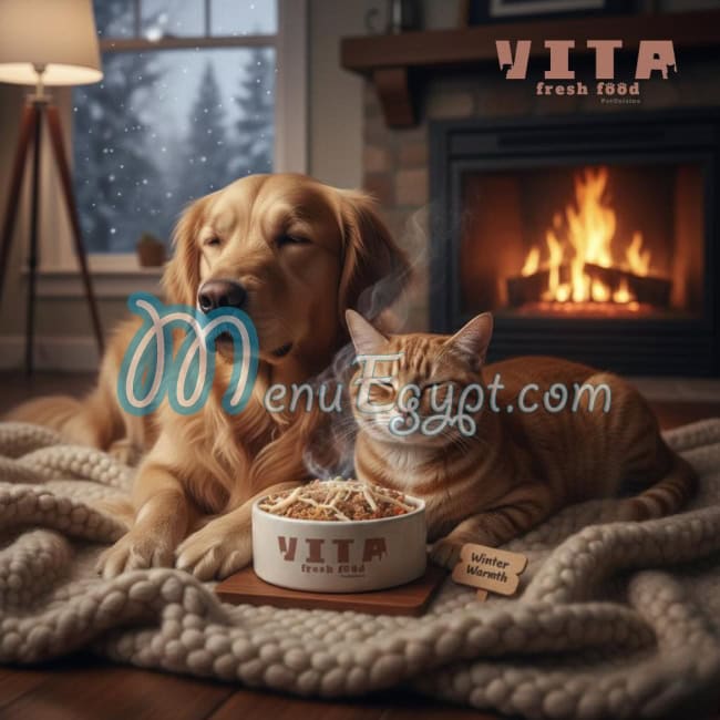 فيتا فريش فوود مصر منيو بالعربى