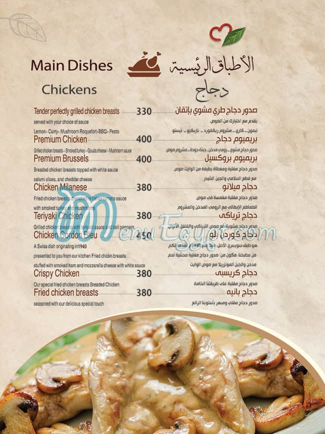 أسعار زهرة المدينه مصر
