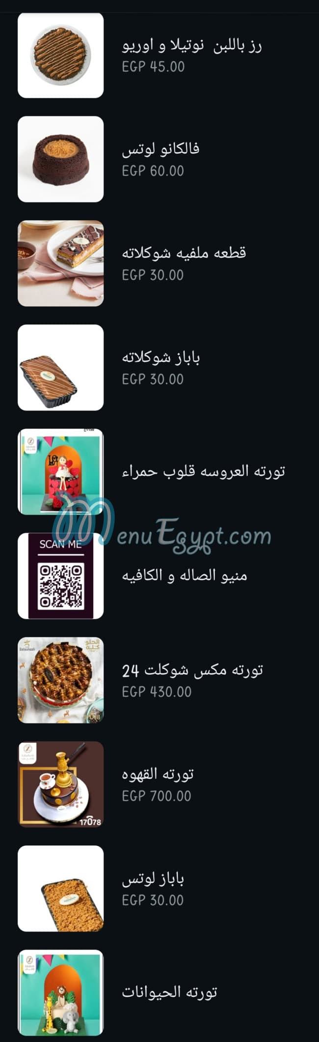 أسعار زلاشيش مصر