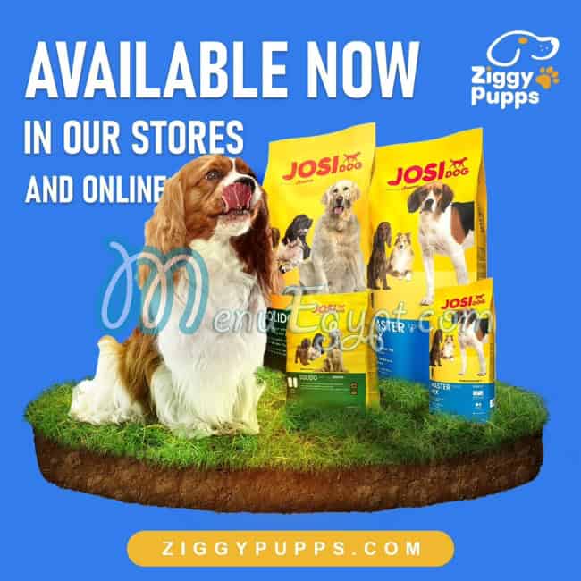 منيو زيجي بابس مصر