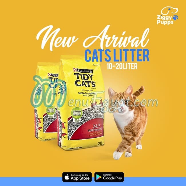 أسعار زيجي بابس مصر