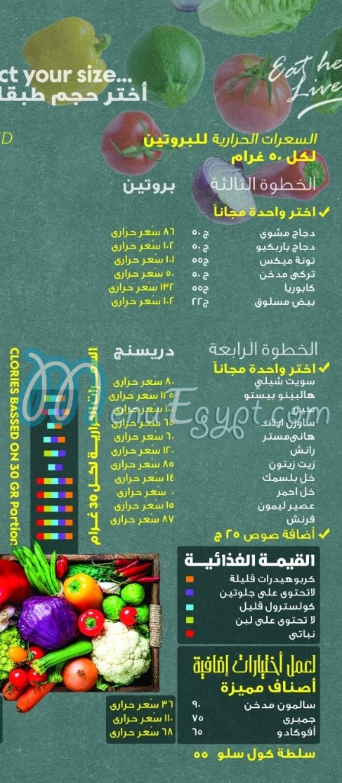 سلاد فييستا مصر منيو بالعربى