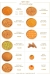 Misr Sweets menu Egypt 11