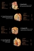 Mori Sushi menu Egypt 4