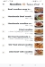 Al Fedouse  Chiense menu Egypt 5