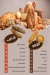 Al Horya Bakery menu Egypt