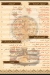 Antika Cafe menu Egypt 3