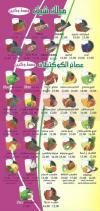 El Rashedy Juice menu Egypt