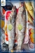 Fasakani Bab El Bahr menu prices