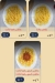 Fill Fino menu Egypt