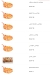 Foool Tank menu Egypt 4
