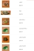 Foool Tank menu Egypt 11