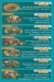 Hadramot Faisal menu Egypt 3