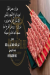 Hassan Felfel butcher menu Egypt 1
