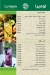 Lumeera menu Egypt 6