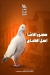 Mansour Basha egypt