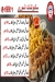 Nagaf menu Egypt 7