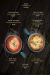 Oriental menu Egypt 6