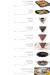Sehetak Falahy menu Egypt 13