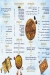 Summermon Restaurant menu Egypt
