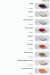Two Broze delivery menu
