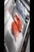 Vacuum packaging machines delivery