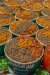 Wazeer Elkoshary menu Egypt