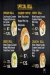 Zi Sushi menu prices